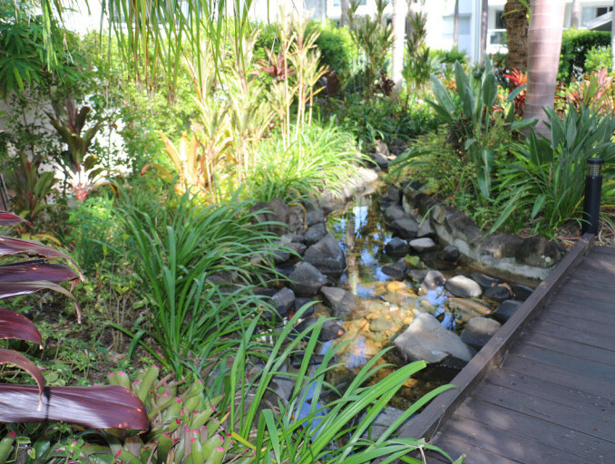 Tropical Gardens