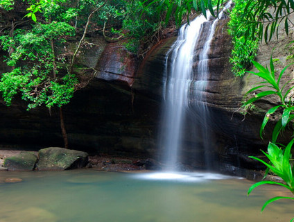 Buderim falls