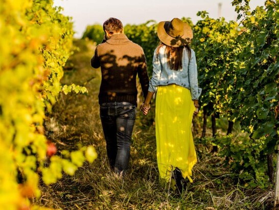 wineries breweries sunshine coast